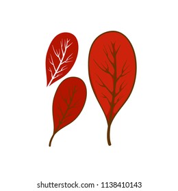 Element leaves autumn collection