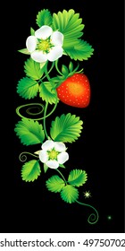 Element of the ornament, strawberry flowering