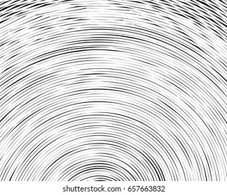 Element, pattern with radial lines. Abstract geometric illustration in black and white