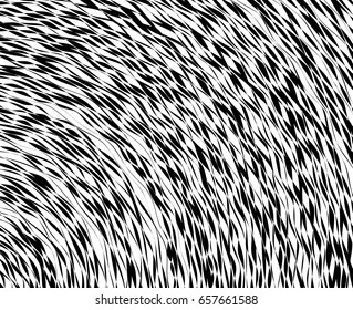 Element, pattern with wavy, distorted lines. Abstract geometric illustration in black and white
