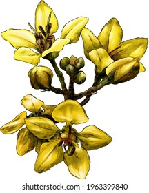 element Plant tree Tropical flower Composition, sketch Vector graphics color illustration on white background