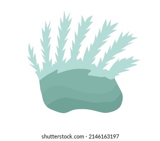 The element of the sea or aquarium day is blue algae