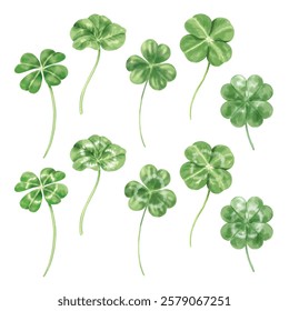 Element set of Clover leaf Watercolor hand drawn illustration isolated on a white background
