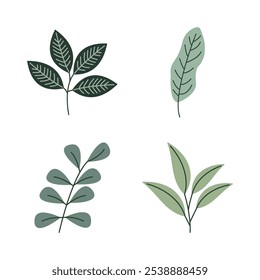 Element Set of Green Leaf Leaves Foliage Fresh Natural Nature Plant