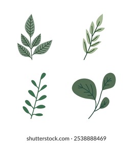 Element Set of Green Leaf Leaves Foliage Fresh Natural Nature Plant