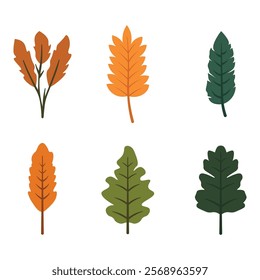 Element Set of Green Orange Leaf Leaves Foliage Natural Plant in Autumn Fall Season