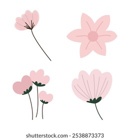 Elemento Conjunto de Rosa Flor Fresca Floral Florista Planta de Naturaleza