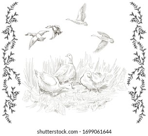 Element toile de jouy style- ducks in grass and flying grass,motif