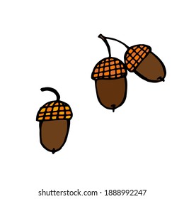 The element of wood oak in Doodle style. Acorn for decorating postcards, covers, texts.