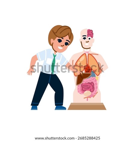 Elementary school student pointing at liver while learning human body structure with anatomical model during biology lesson, promoting education and exploration of human body