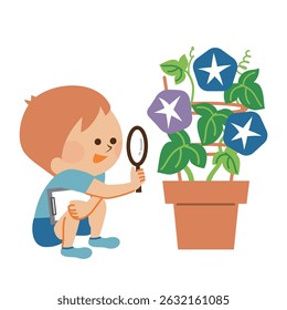 Estudante do ensino fundamental, férias de verão, registro de observação da glória da manhã