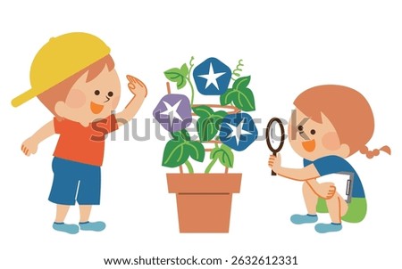 Elementary school student, summer vacation, morning glory observation record