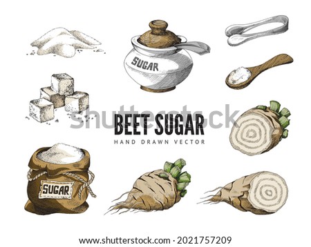 Elements for advertise design beet sugar - beetroot, cubes refined sugar, kitchen utensils, sack and sugar bowl full sweet crystal powder natural food sweetener. Vector illustration