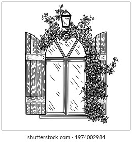 Elements of architecture, open window background. Window with shutters and ivy on a wall. Doodle hand draw graphic. Cute vector illustration. Black and white Sketch style. House facade.