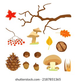 Elements Of The Autumn Forest, Gifts Of Nature, Mushrooms, Nuts And Berries, Isolated Illustration On A White Background