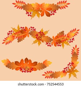 
Elements of autumn leaves. Beautiful leaves