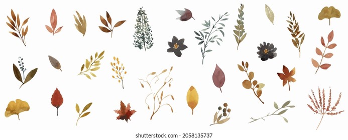 Elements of autumn leaves painted in watercolor.