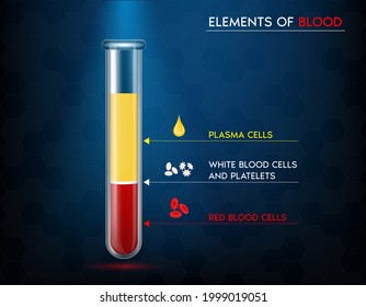 Elementos de la sangre: glóbulos rojos, plasma, sangre blanca y plaquetas en un tubo de vidrio. Concepto de estructura de ciencia médica. realista con ilustración vectorial 3D.