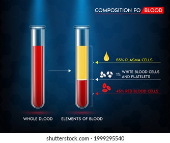 Elementos de la sangre: glóbulos rojos, plasma, sangre blanca y plaquetas en un tubo de vidrio. Concepto de estructura de ciencia médica. realista con ilustración vectorial 3D.