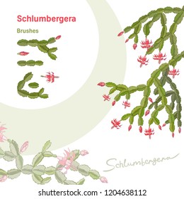 Elements Of Christmas Cactus And Brushes. Vector Hand Drawn Illustration.