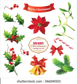 Elements of Christmas decoration. Vector design set. 