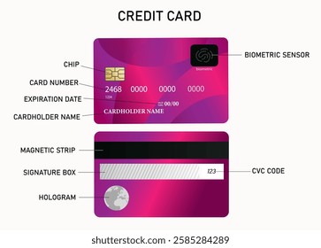 Elements of a credit bank card. Front and back of the card. Education vector illustration