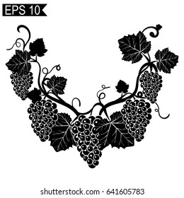 The elements of design with grapes and Vine in vintage style. Template, stencil in black and white in color. The semicircle of vines. Design for your labels. Vintage. vector.