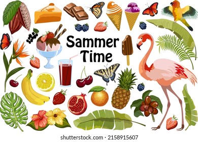 Elements for the design of tropical illustrations.Vector collection with elements for the design of summer tropical illustrations on a transparent background.