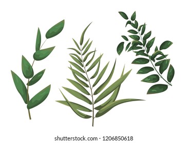 Elements for design. Vector branches. Vector illustration in watercolor style. Green leaves on the twigs.