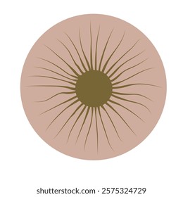 elements of elestial vector featuring a sun in earthy brown at the center of a peach beige circle, ideal for warm and natural cosmic designs