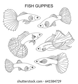 Elements fish guppy made in the style of Doodle. Vector illustration.