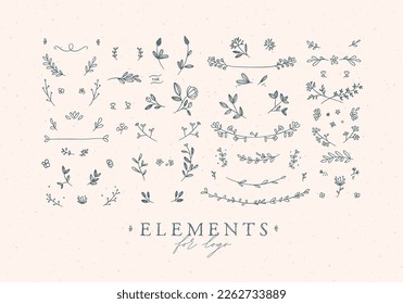 Elements flowers and branches to create label or sign in hand drawing style. Beige color background.