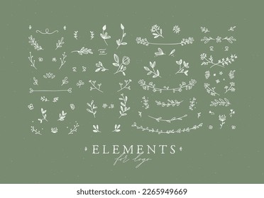 Elements flowers and branches to create label or sign in hand drawing style. Green color background.