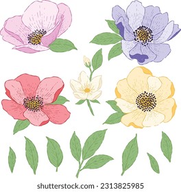 Elements flowers  mix colors  illustration vector set