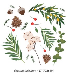 Elements of the forest. Fern, twig, leaf, fruit, acorn, pine cone, cotton