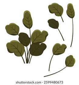 Elements of Green Fresh Tropical Leaves Foliage Plant in the Park Garden
