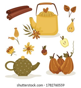 Elementos para el té herbal. Bebida caliente. Hojas de otoño vectoriales, tetera, canela, camomila, caléndula, cadera, manzana, calabaza, pera, bellota, flores tropicales