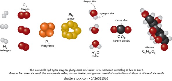 Elements Hydrogen Oxygen Phosphorus Sulfur Stock Vector (Royalty Free ...