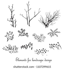 Elements for landscape design. Trees, bushes,grass. Hand drawn vector illustration.