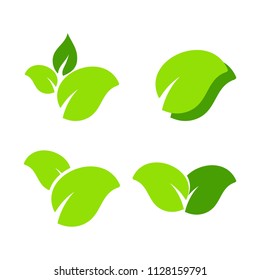 Elements leaves design collection