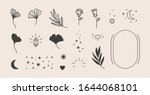 Elements for logo design - rose, Ginkgo Biloba Leaf, Stars, moon, Frame. Vector illustration in a minimal linear style. To create logos, prints, patterns, posters, and other designs