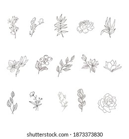 Elements for logo-Botanical clipart - flowers in vector-botanical handdrawn logo - line drawn flowers-boho line art svg- modern logo svg