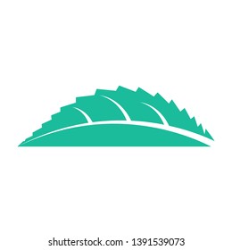 Elements of mint leaves with abstract shapes.