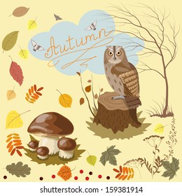 Elements and objects of autumn.