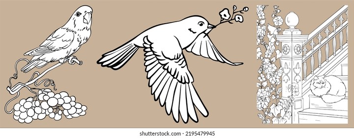 Elementos sobre el tema del jardín. Vector blanco y negro para colorear libros. Loro en una rama. Paloma con una rama. El gato está en el porche.