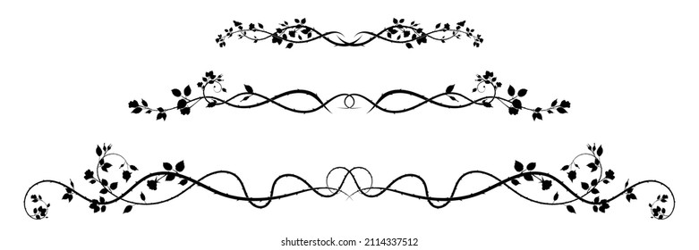 elements for ornament rose weaving plant. doodle sketch vector stock