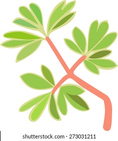 Elements of plants. Grass. Leaves.