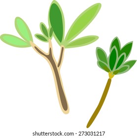 Elements of plants. Grass. Leaves.