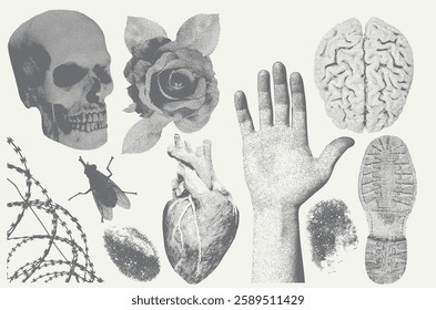 Elements with a retro barbed wire, rose, hand, fly, heart, brain, skull, boot print, fingerprint photocopy effect. Broken heart, barbed wire and other trendy Y2K elements. Vector dots texture.