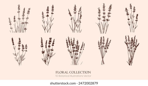 Elements set botanical line art flowers drawing invitation decoration Valentine's Day, greeting cards, Mother's Day, botanical graphic drawing.Plants and bouquets without filling the white background
